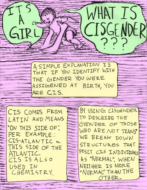 Cis Mann Cis Mann