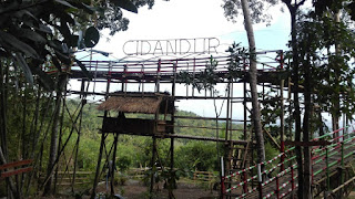 Wisata Alam Cidandur Forest Baru di Kecamatan Cipari