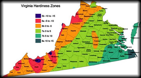 Lushgreenva Mid Atlantic 2nd Half Vegetable Planting Dates Lushgreenva Mid Atlantic 2nd Half Vegetable Planting Dates
