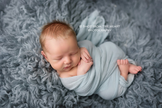 newborn boy wrapped up on blue flokati