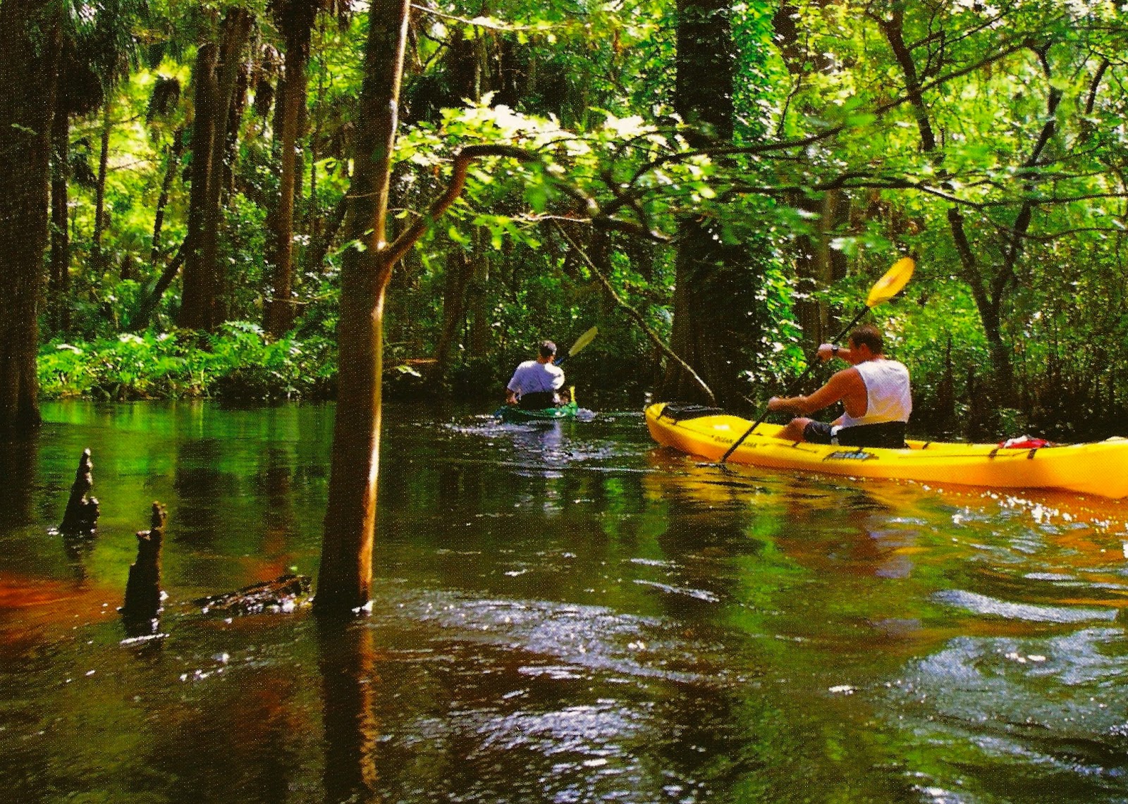 My Favorite Views Florida Jupiter Kayaking on The Loxahatchee River