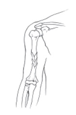 Ujian Biologi Simpulan Semester Kelas Xi Ipa - arifinbp.com