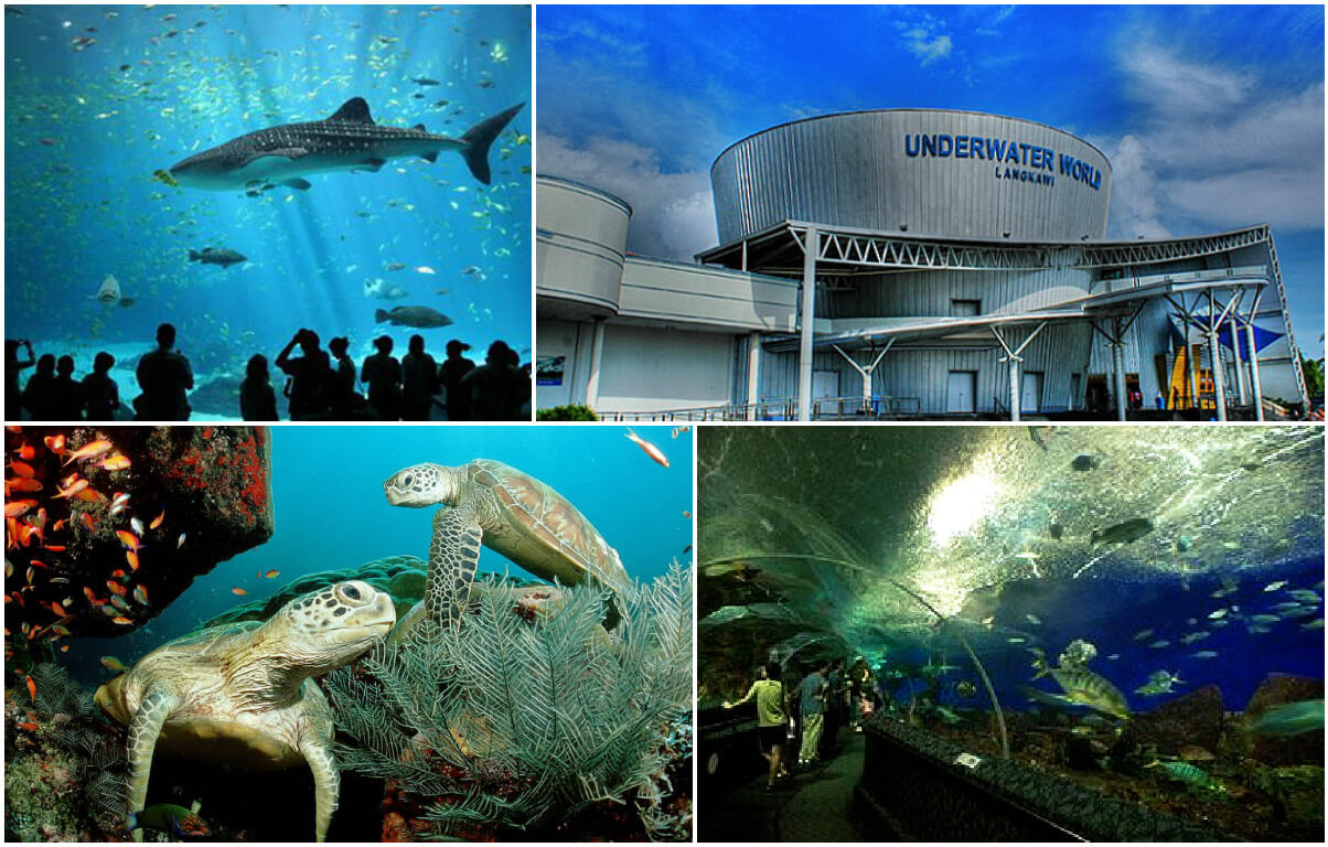 Langkawi Underwater World All about TOUR and CULTURE