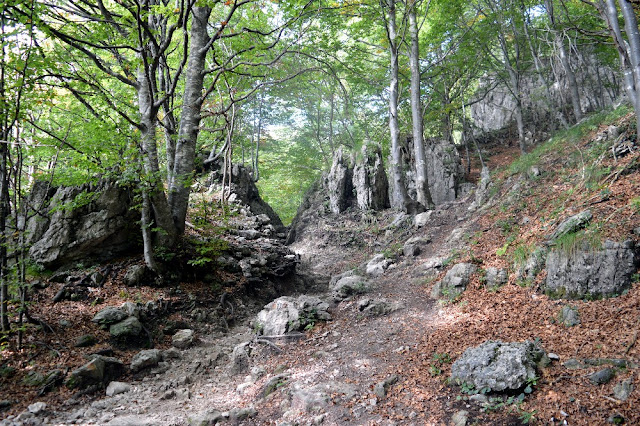 escursione rifugio azzoni resegone