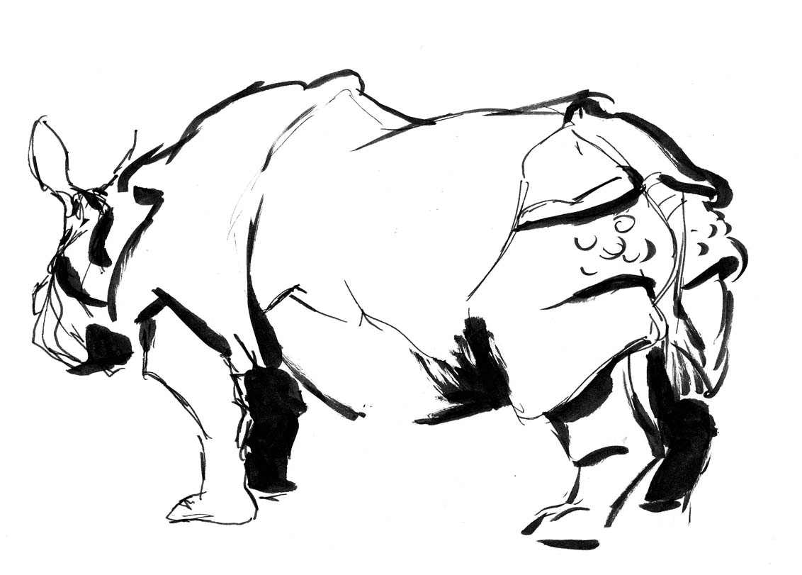 Empty Zoo Cage Coloring Page Sketch Coloring Page