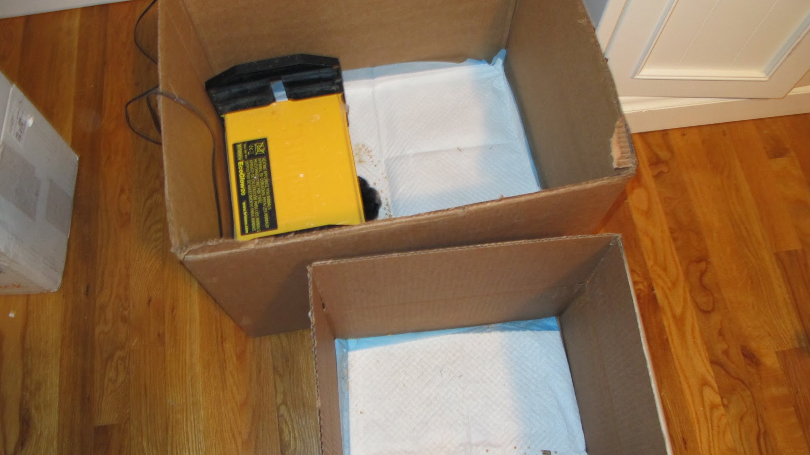 The Chicken Chick®: How to Build a Better Brooder for Raising Baby 