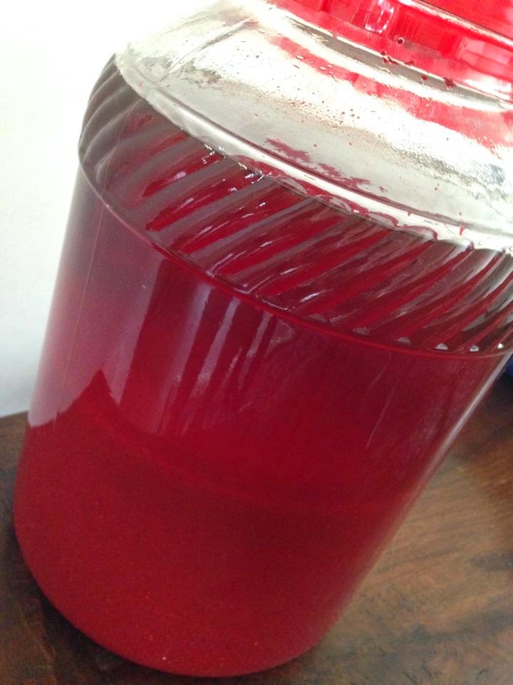 HomeMade Chinese Red Rice Wine （Foo Chow Ang Jiu) By Fiona Lau