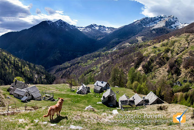 Valle Vigezzo panorama alpe Cortina Valle Vigezzo panorama alpe Cortina
