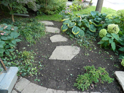 The Annex Toronto front garden cleanup after by Paul Jung Gardening Services