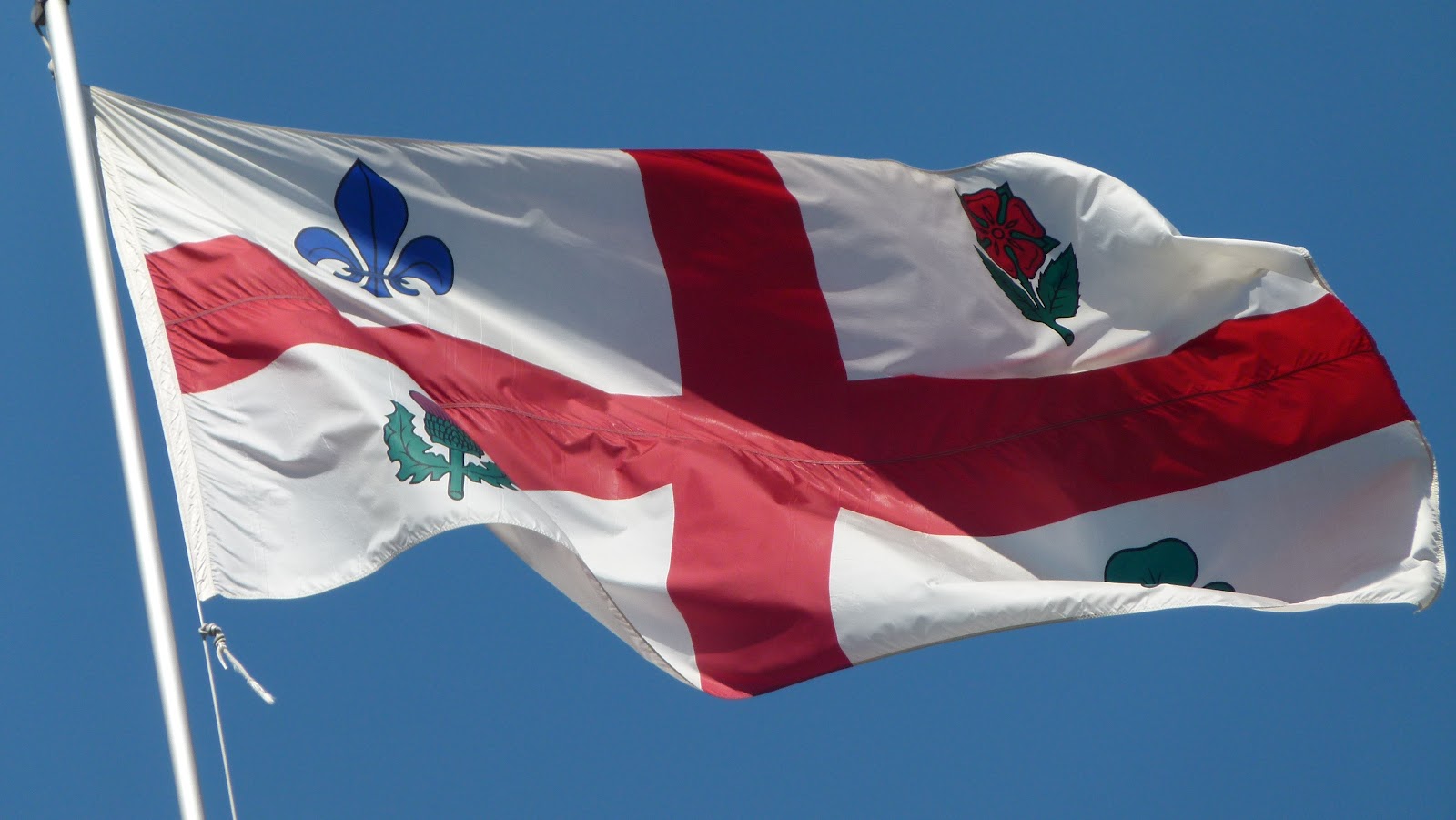 Notre année québécoise: Drapeau / dico québécois