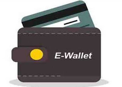 Liability in Prepaid Payment Instruments Liability in Prepaid Payment Instruments