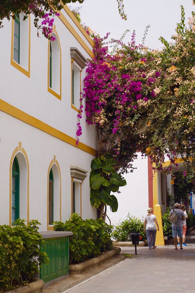 gran canaria puerto mogan buganvilla decor decoration bougainvillea