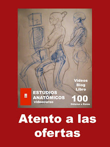 DISEÑO DE LÁMINAS DE ESTUDIOS ANATÓMICOS