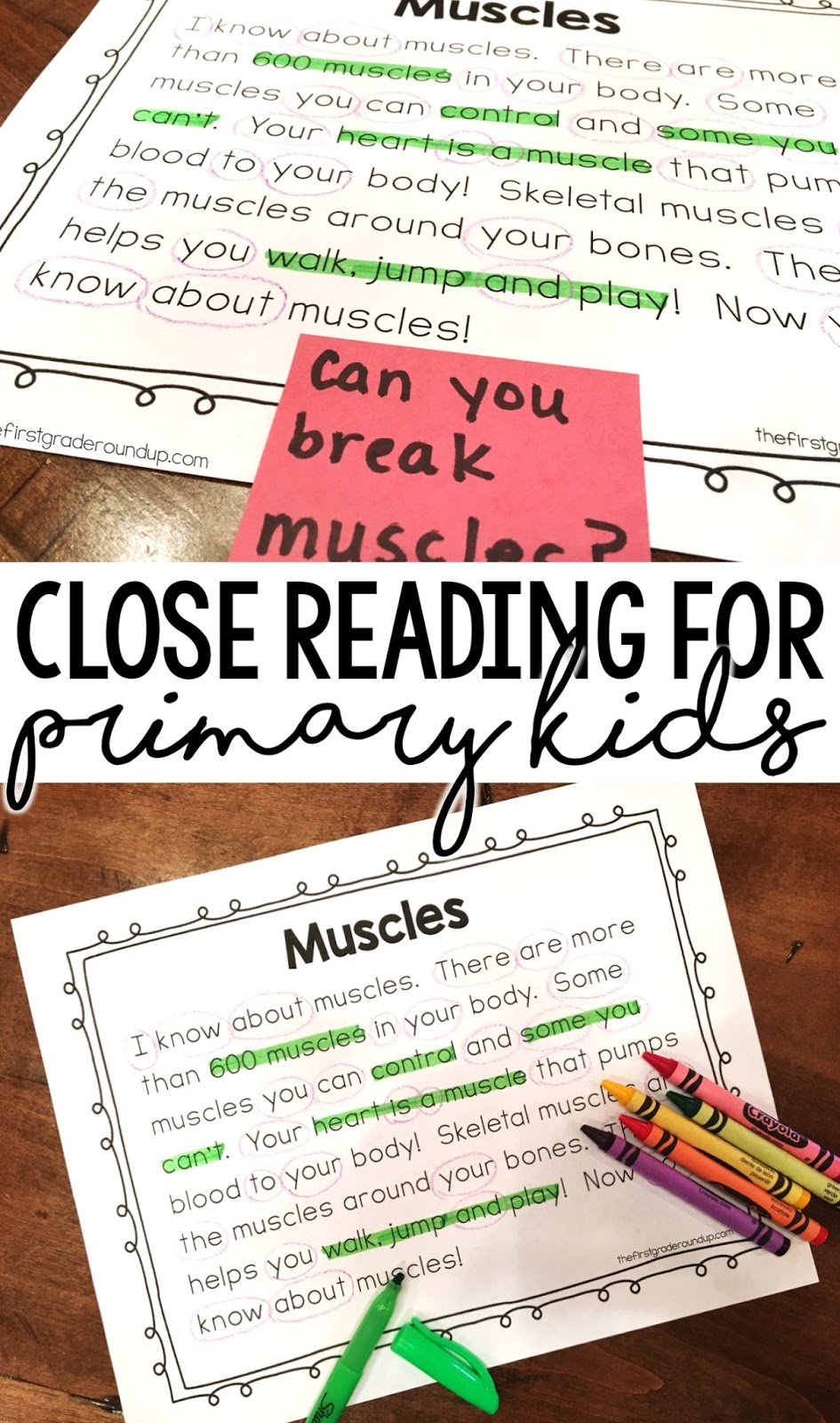 Close Reading in First Grade - Firstgraderoundup