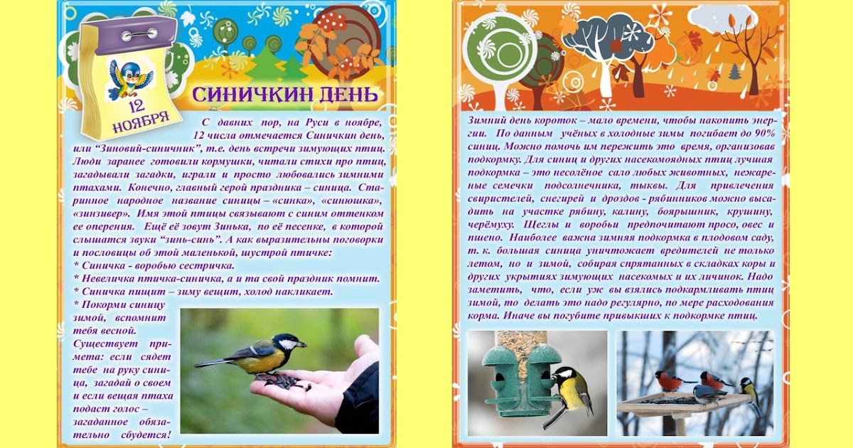 Проект синичкин день в первой младшей группе