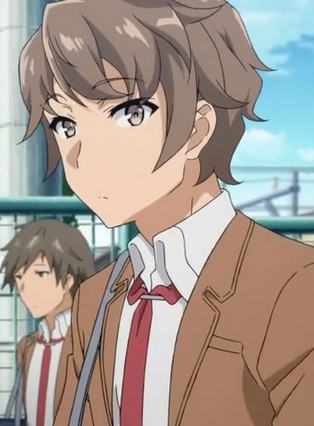 Get Review Seishun Buta Yarou Wa Bunny Girl Senpai No Yume Wo Minai Desktop Wallpaper Free Get Wallpaper Review Seishun Buta Yarou Wa Bunny Girl Senpai No Yume Wo Minai Desktop Wallpaper