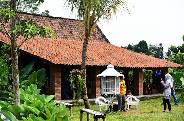Suasana di pekarangan Kopi Klotok Pakem Suasana di pekarangan Kopi Klotok Pakem