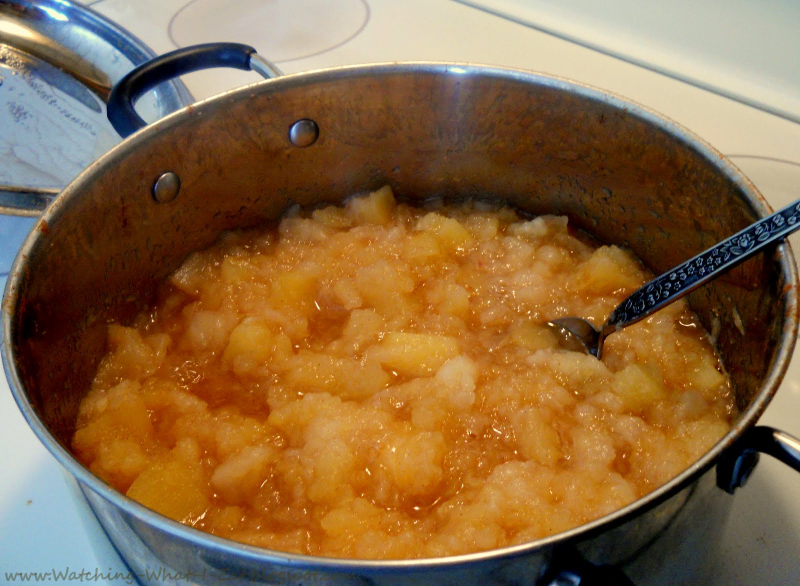 Watching What I Eat Homemade Chunky Cinnamon Applesauce