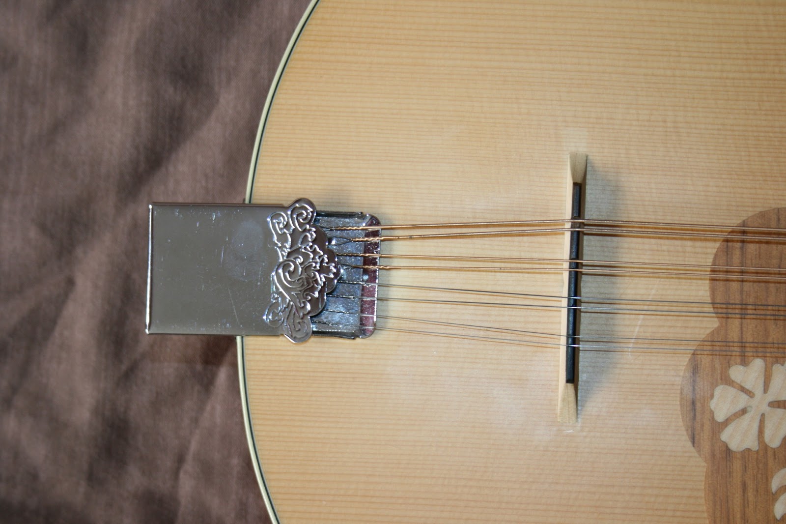 Learning Irish Bouzouki Stiff Tuning Pegs