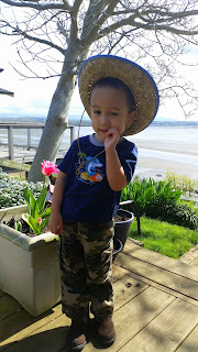 Picture of a boy in the yard