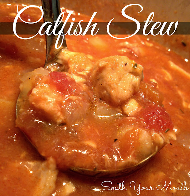 South Your Mouth Catfish Stew