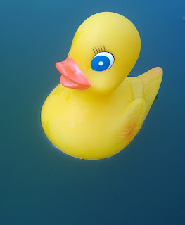 Hier Badet Agathe auf einem Teich.