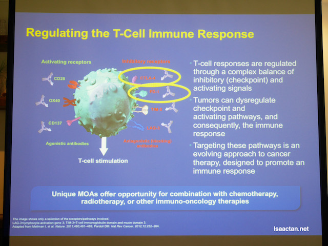 Regulating the T-Cell Immune Response