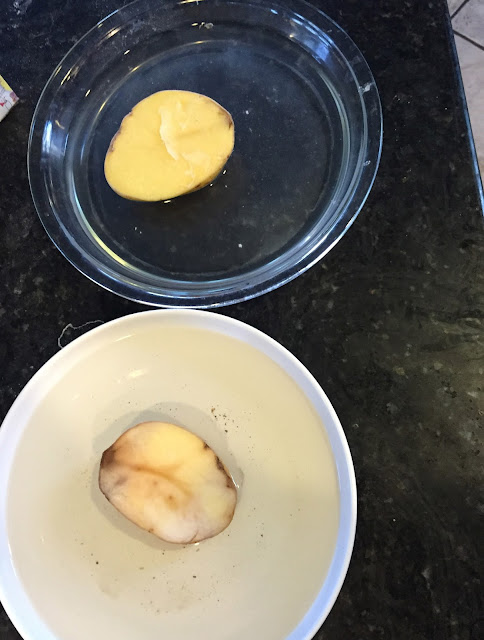 the effect of salt and sugar concentration on osmosis in potato cells The osmotic process was carried out at different sucrose concentrations (40-60% w/w), salt concentrations (0-10%w/w) and solution sliced sweet potatoes were dipped in a 2% potassium metabisulphite solution the effect of temperature and concentration and the values of effective diffusion coefficients are similar to. the effect of salt and sugar concentration on osmosis in potato cells The osmotic process was carried out at different sucrose concentrations (40-60% w/w), salt concentrations (0-10%w/w) and solution sliced sweet potatoes were dipped in a 2% potassium metabisulphite solution the effect of temperature and concentration and the values of effective diffusion coefficients are similar to.