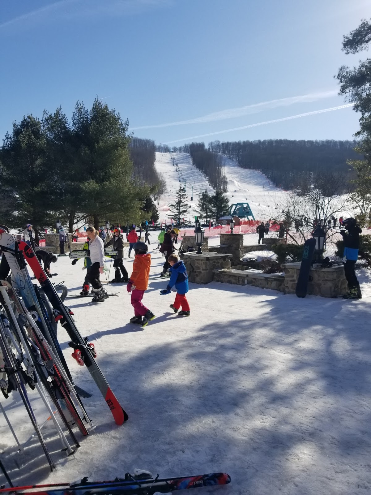 Dyleva Pizza and french fries