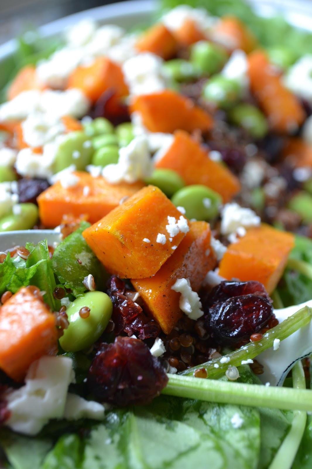 Savoury Wednesday: Quinoa Salat mit Baby-Spinat, Butternuss Kürbis und ...