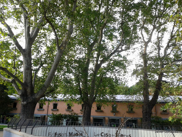 Parque del Retiro de Madrid. Itinerario 5.Jardines de Cecilio Rodríguez y Herrero Palacio