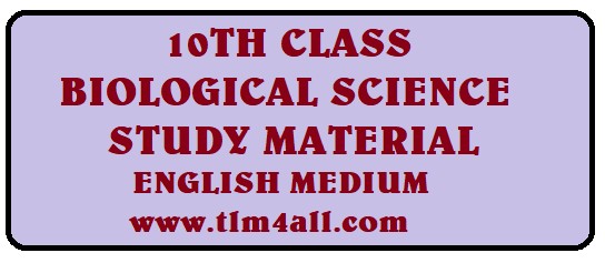 10th Study Materials In Tamil Medium 10th Study Materials In Tamil Medium