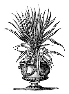 potted plant illustration plant pot image digital botanical download