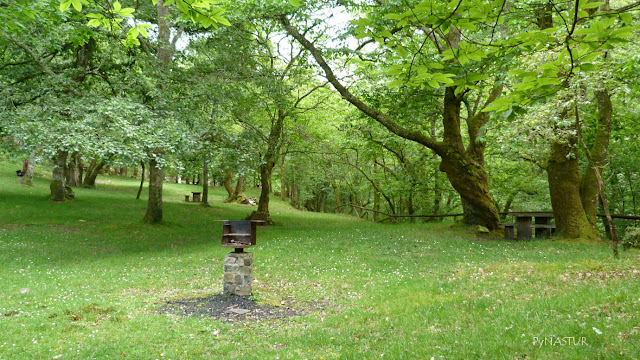 Área Recreativa de La Pesanca - Piloña - Asturias Área Recreativa de La Pesanca - Piloña - Asturias