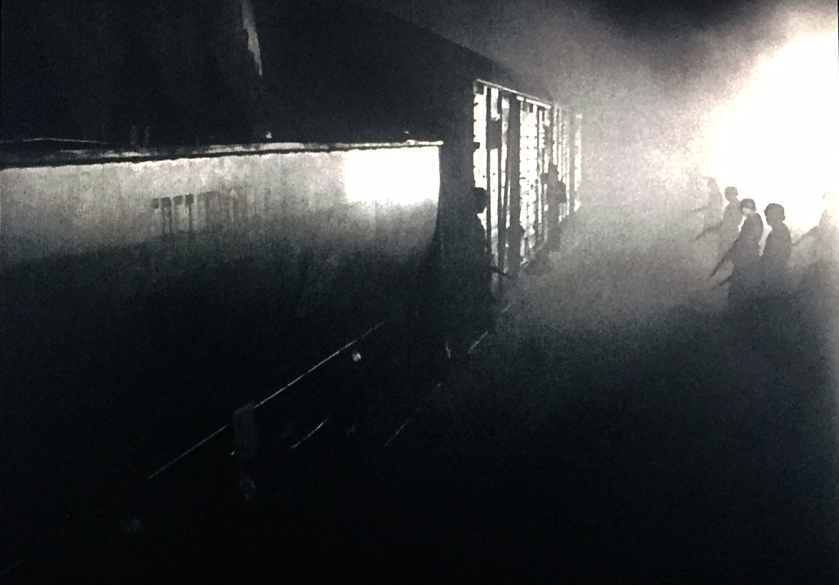 Cinemasparagus Night and Fog