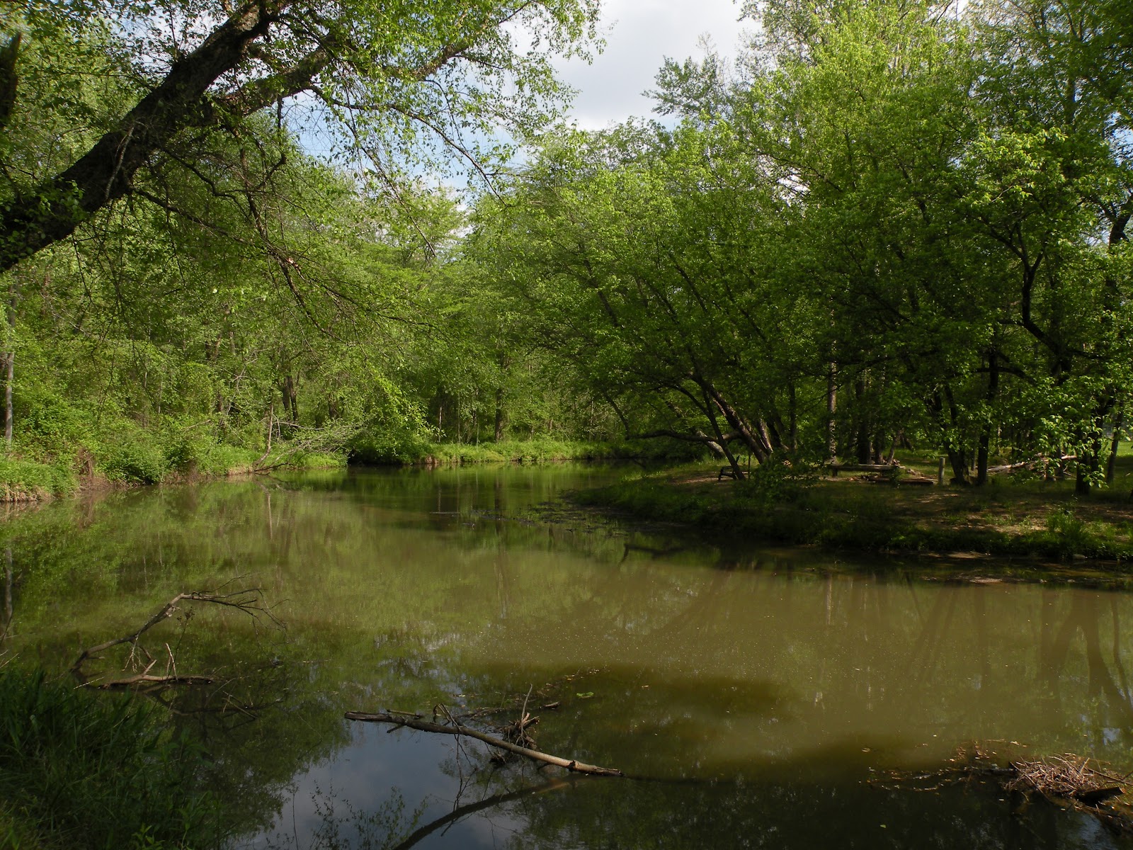 Will The Real Isaac Jones Please Step Forward? Hunting Creek, Surry