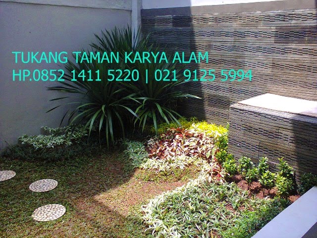 Taman Minimalis Belakang Rumah Taman Minimalis Belakang Rumah
