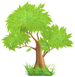 tree clipart pine