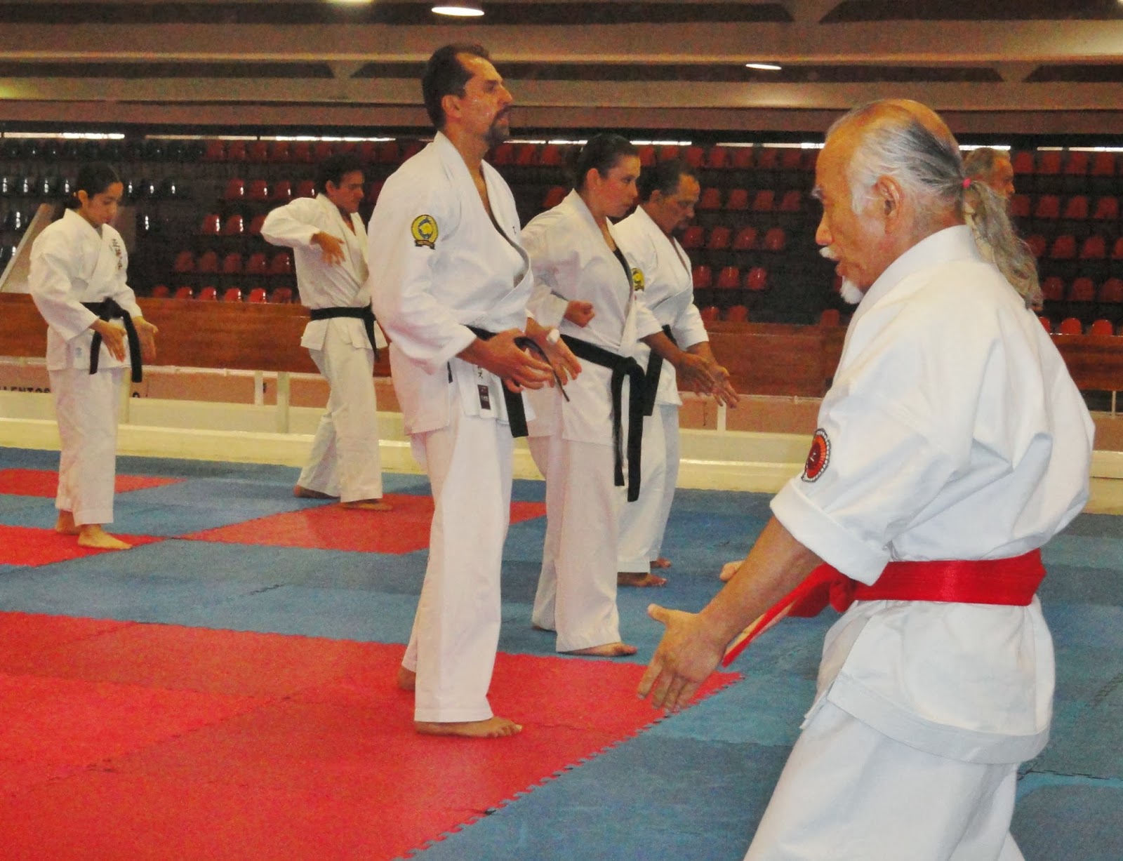 Interesante e Intenso Seminario Uechi Ryu - Karate Do Okinawa