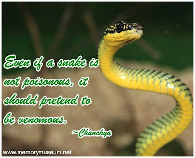 Snakes Quotes