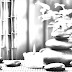 Feng Shui, COR, LUZ E SOM: VIBRAÇÕES A SERVIÇO DO FENG SHUI