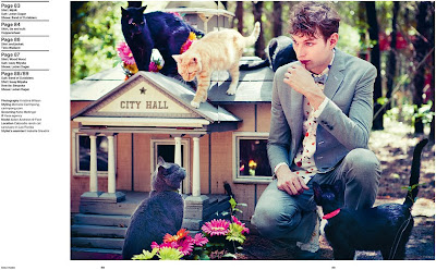 Catsparella: Feline Fashion Shoot at Caboodle Ranch Cat Sanctuary