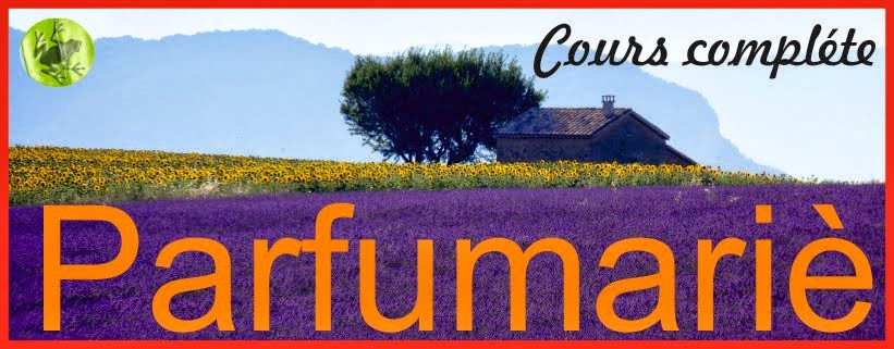 PERFUMIST TRAINING COURSE