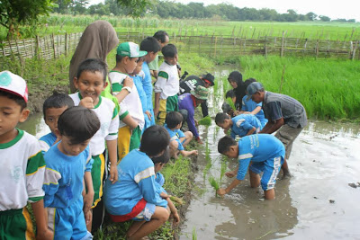 outbound anak tanam padi