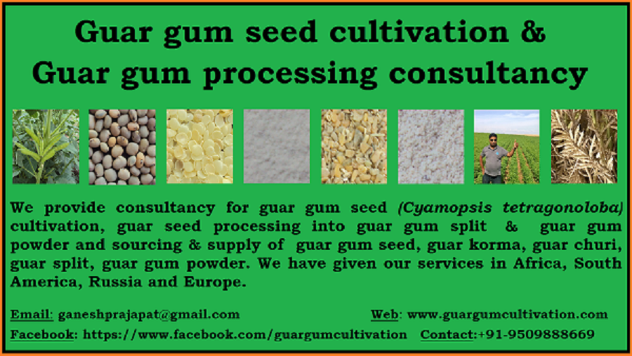 GUAR GUM INFORMATION AND GUAR GUM CULTIVATION IN INDIA Disease