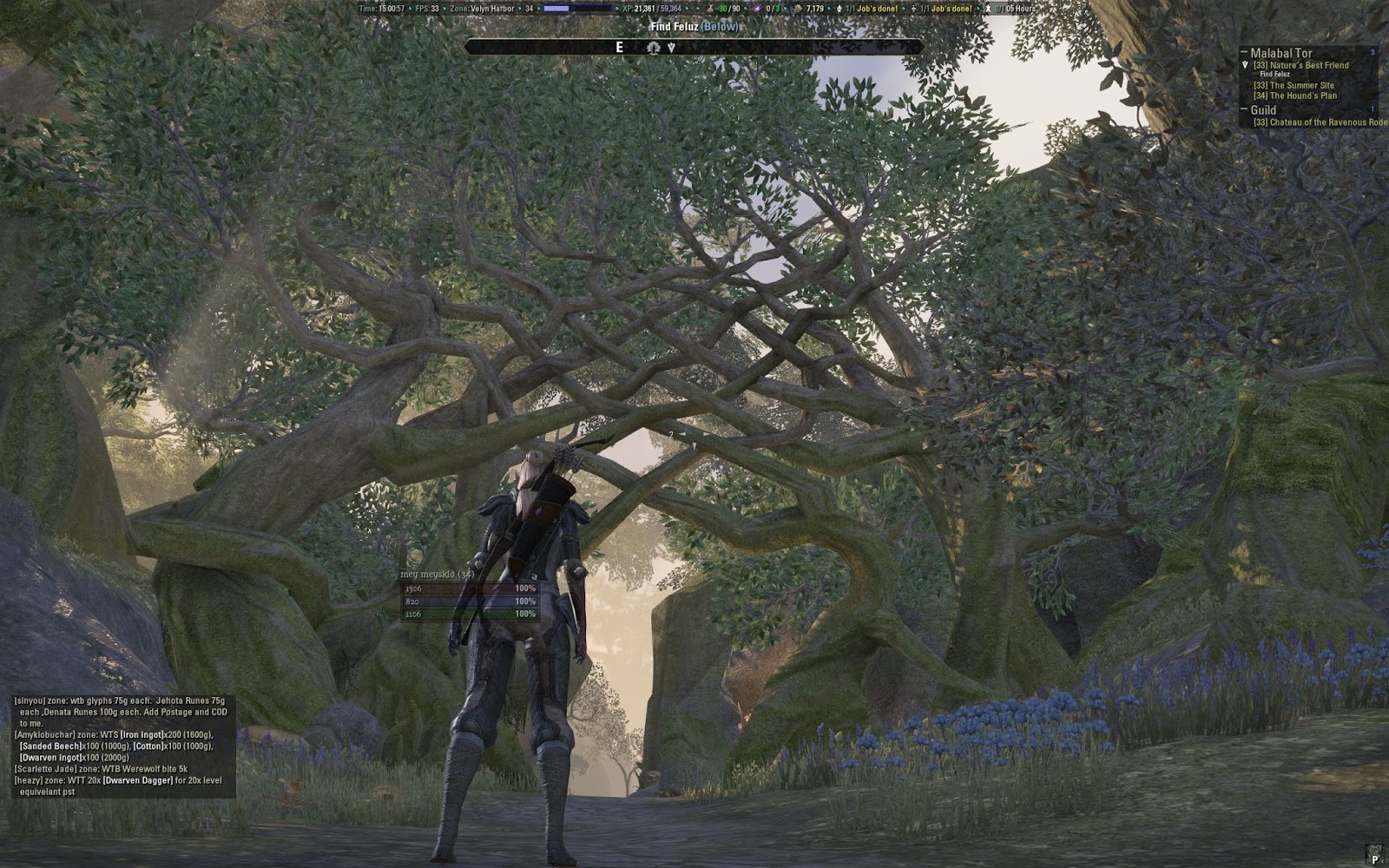 あれ [ESO]Bosmer Nightblade bow build