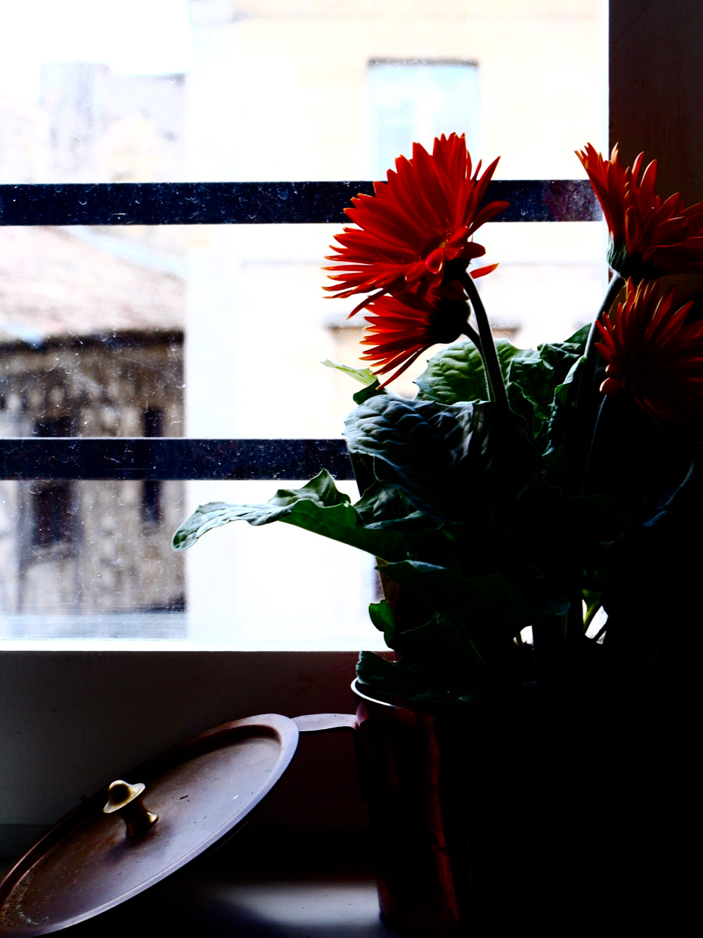Oxygéner et décorer sa maison ou son appartement c'est possible en un seul coup grâce aux plantes purifiantes ! 