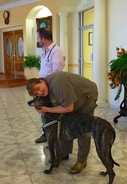 swinger Dr ophthamalogist robert veterinary