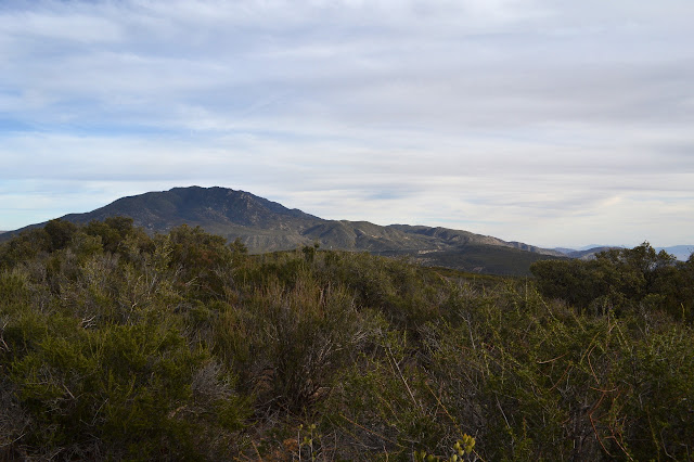 Toro Mountain
