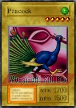 Peacock-1,07%